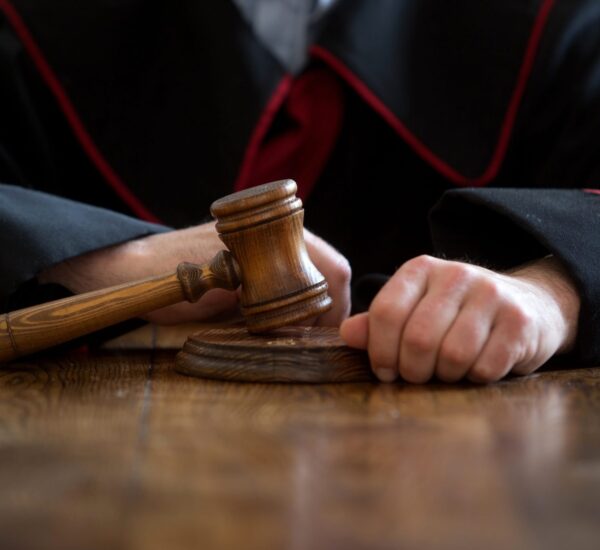 Ultimate Guide to USA Appeal Clauses and Court Procedures
