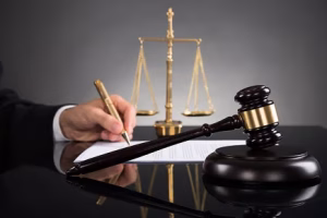 Best USA Appeal Clause Insights for Contract and Court Review